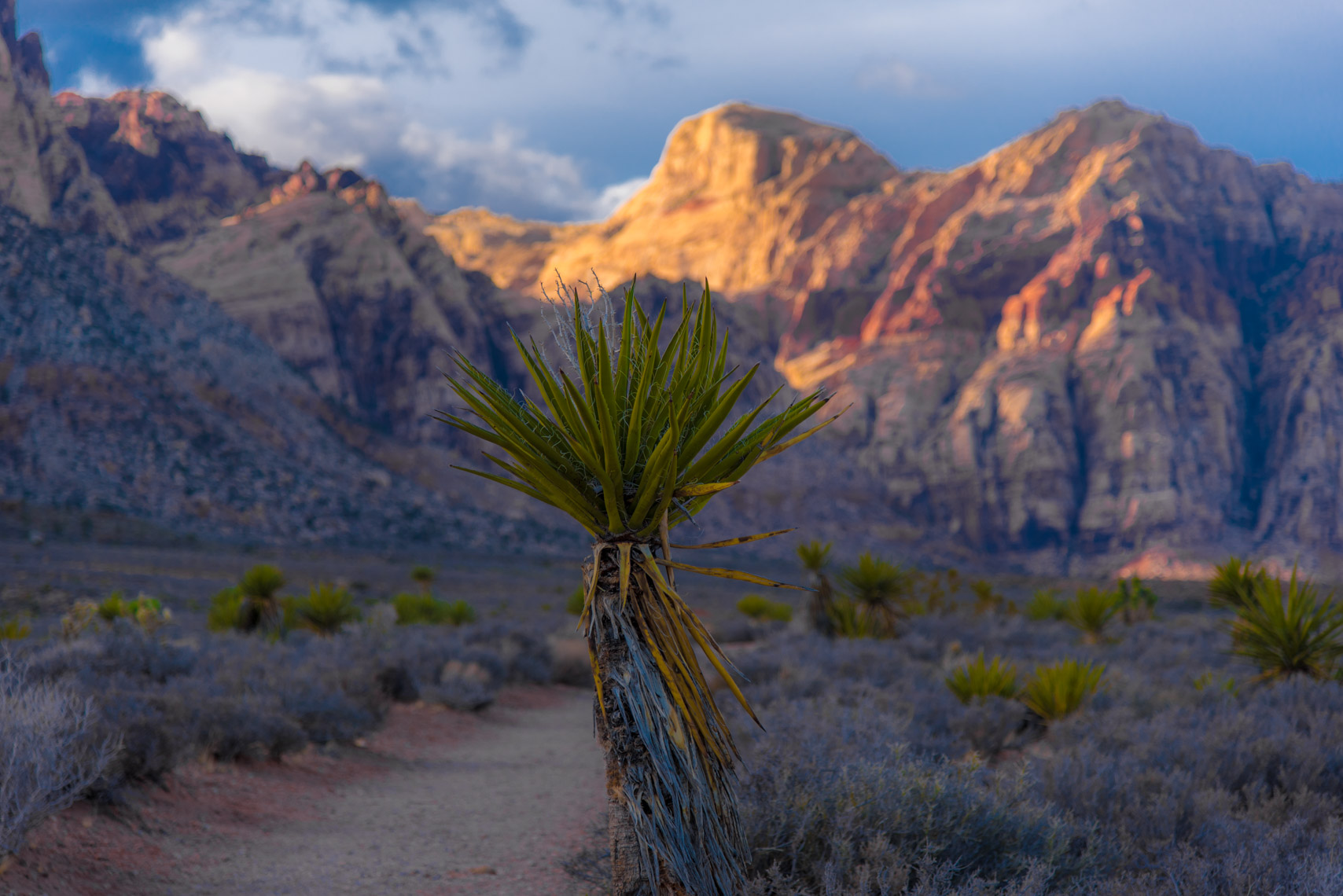 Landscape Photography, Red Rock Canyon, Las Vegas, Nevada