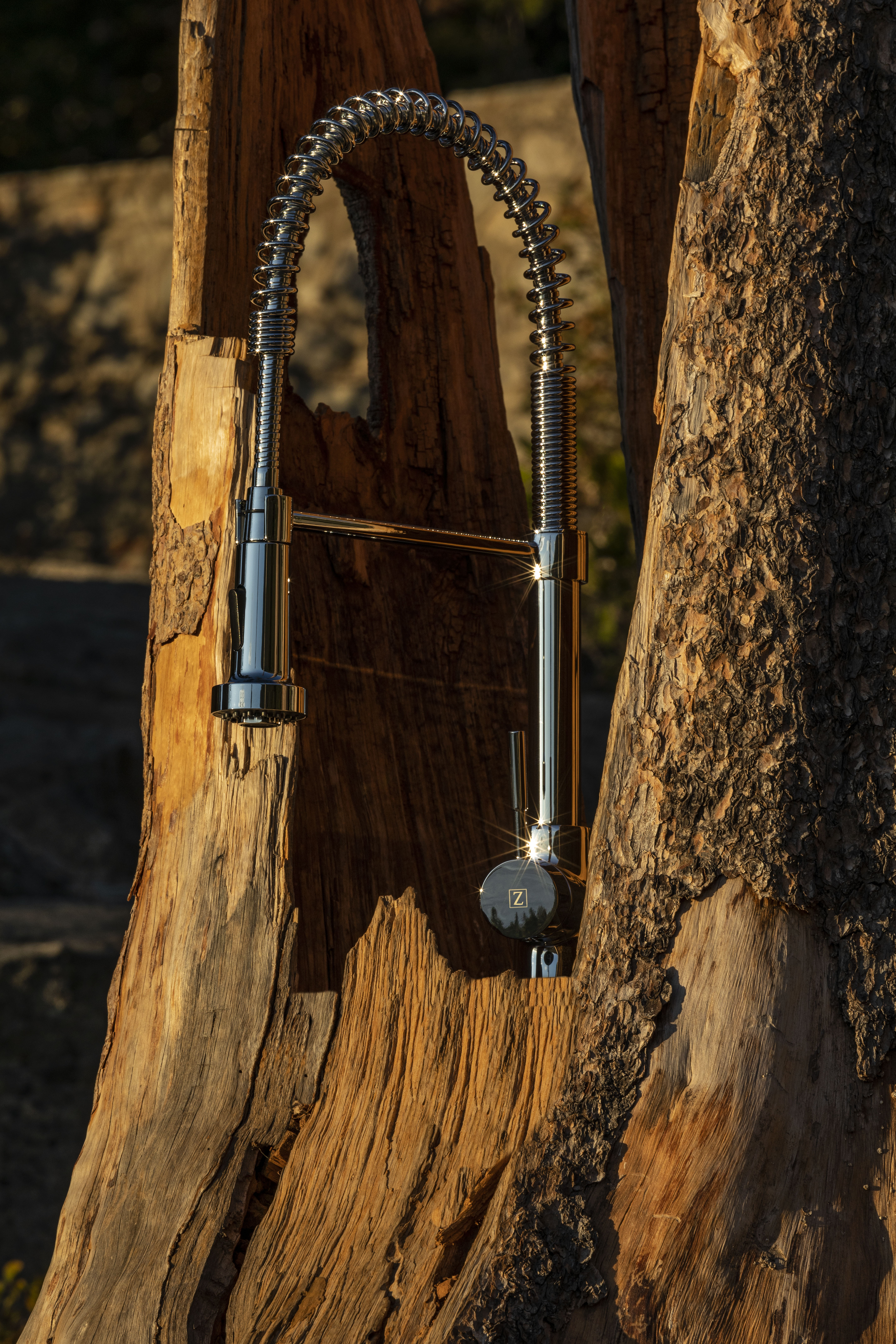 TreeTrunkFaucet