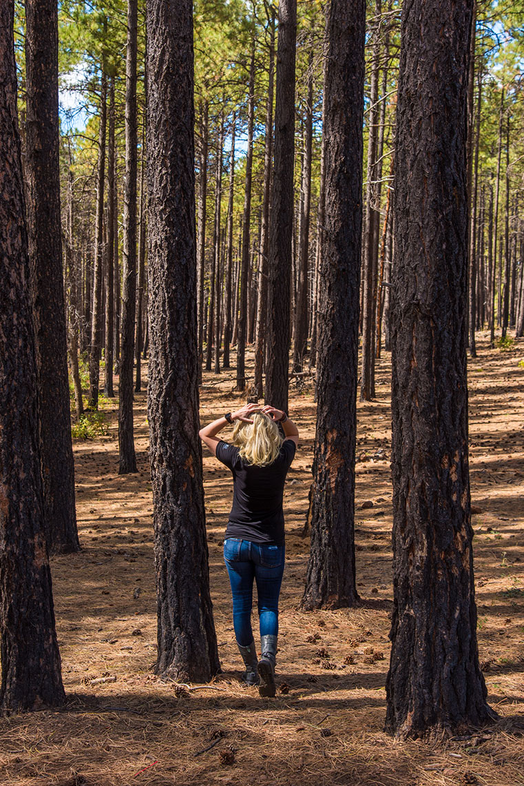 Coconino National Forest, Flagstaff, Arizona, Where to Explore Next Photoshoot, Lifestyle Adventure Photographer Daniel Britton